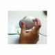 Digitální mikroskop (mikroskop se připojuje k PC přes USB kabel)