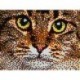 Quercetti Pixel Art 4