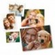 Quercetti Pixel Photo 16